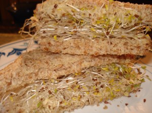 Sandwich hummus alfalfa